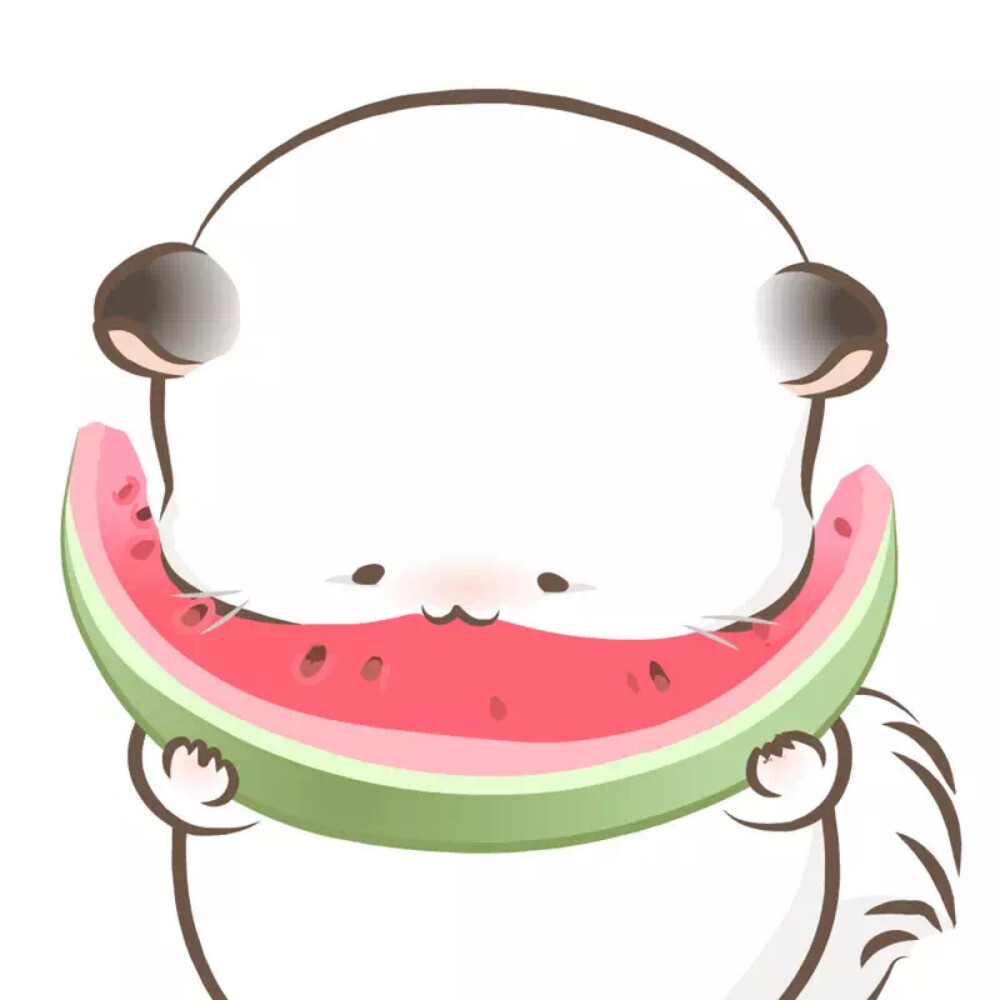 八毛与四毛（夏日篇）