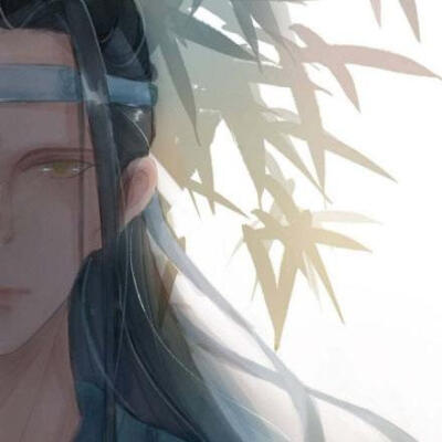 魔道祖师情头 忘羡