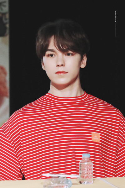 SEVENTEEN VERNON 崔韓率