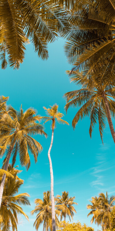 手机全屏2k 高清壁纸 风景背景 美图