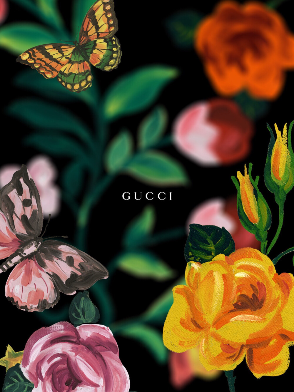 Gucci 壁纸