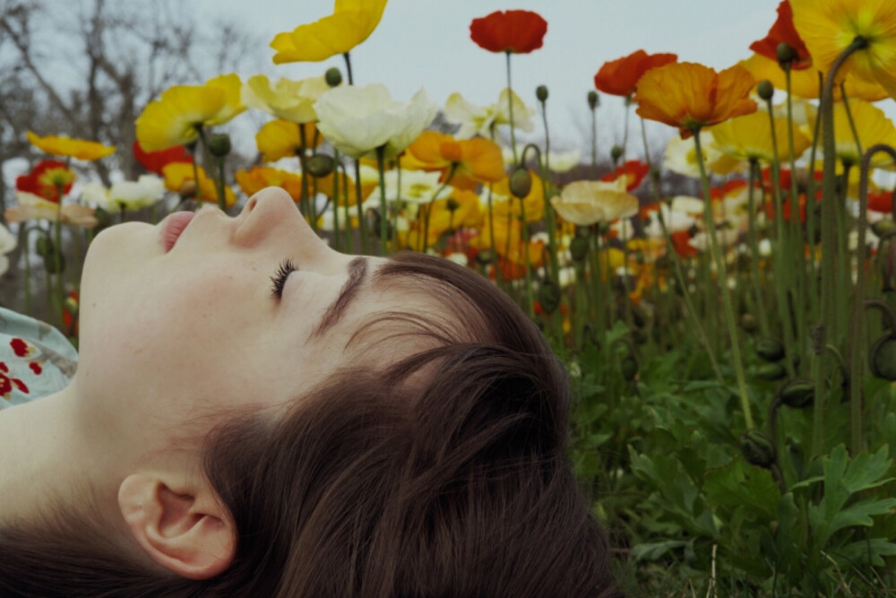 Flowers｜Marta Bevacqua