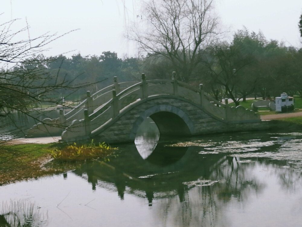 橘子洲