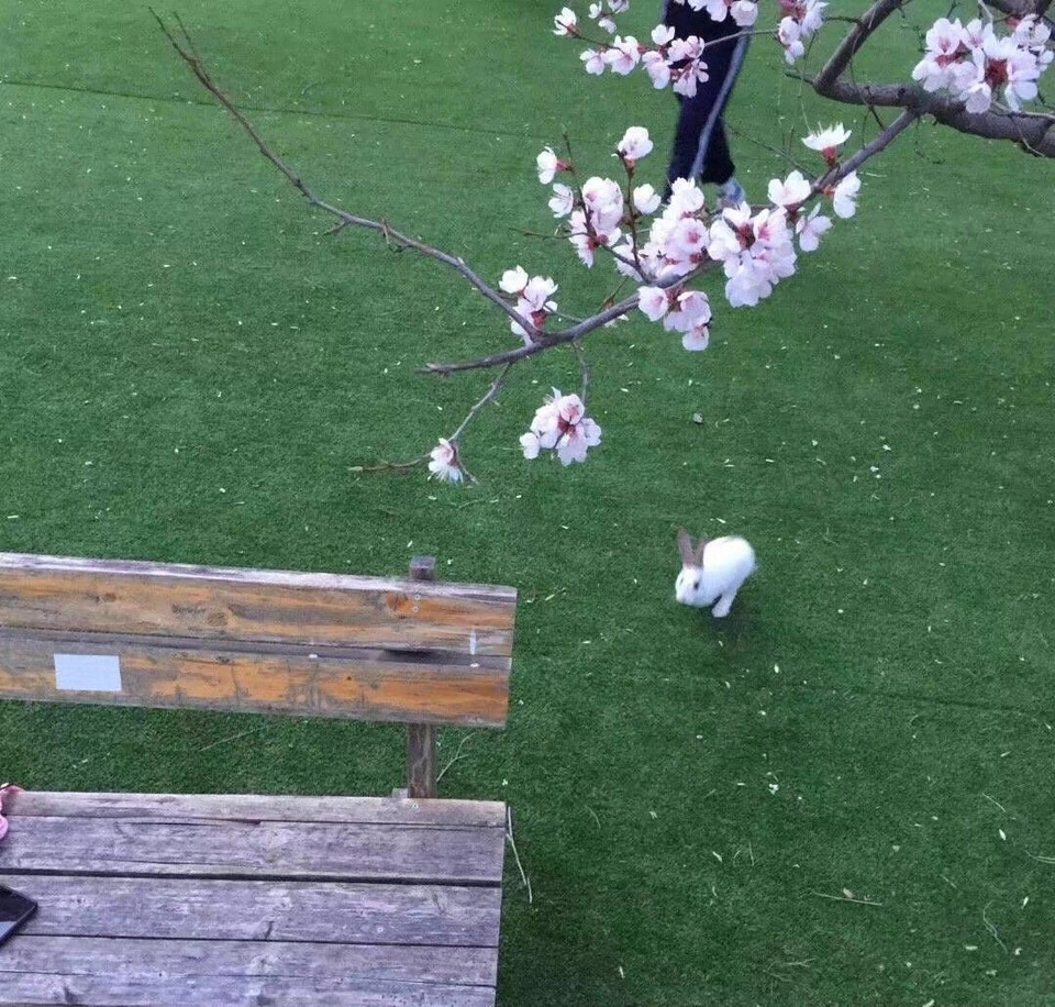 背景图 文字 风景