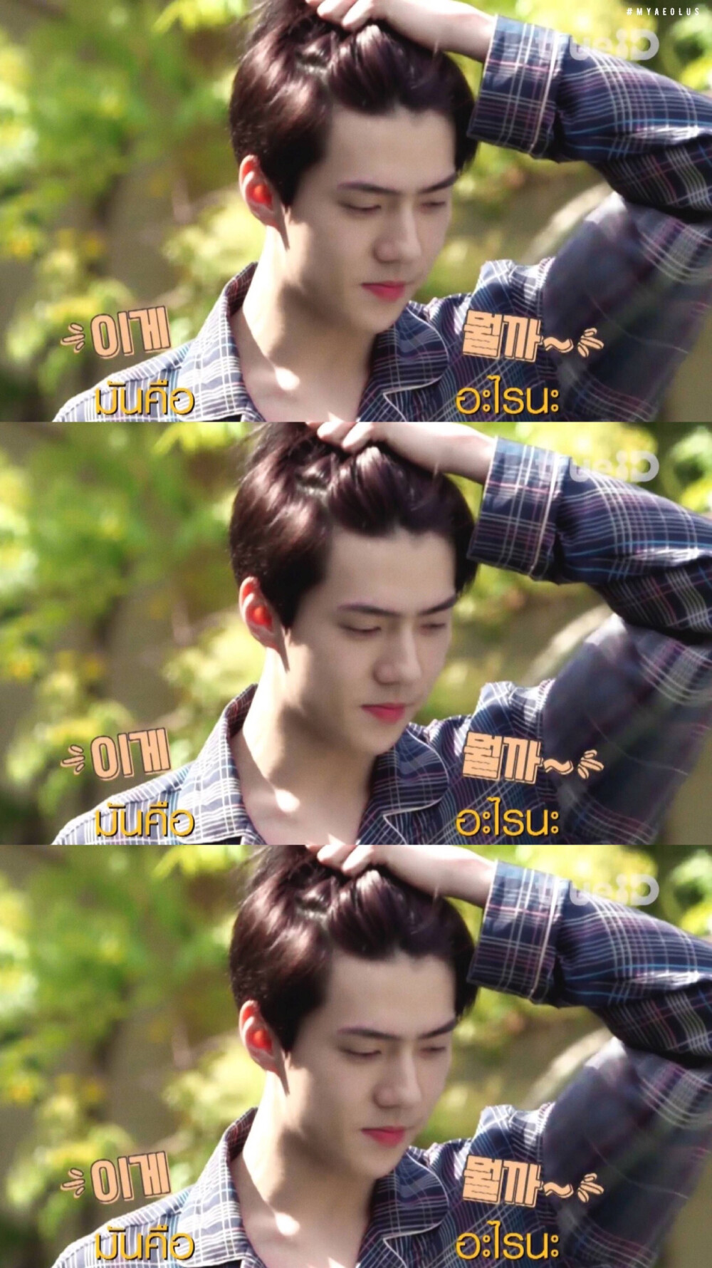 sehun