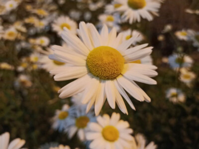 自己原创，拿图请留言，谢谢