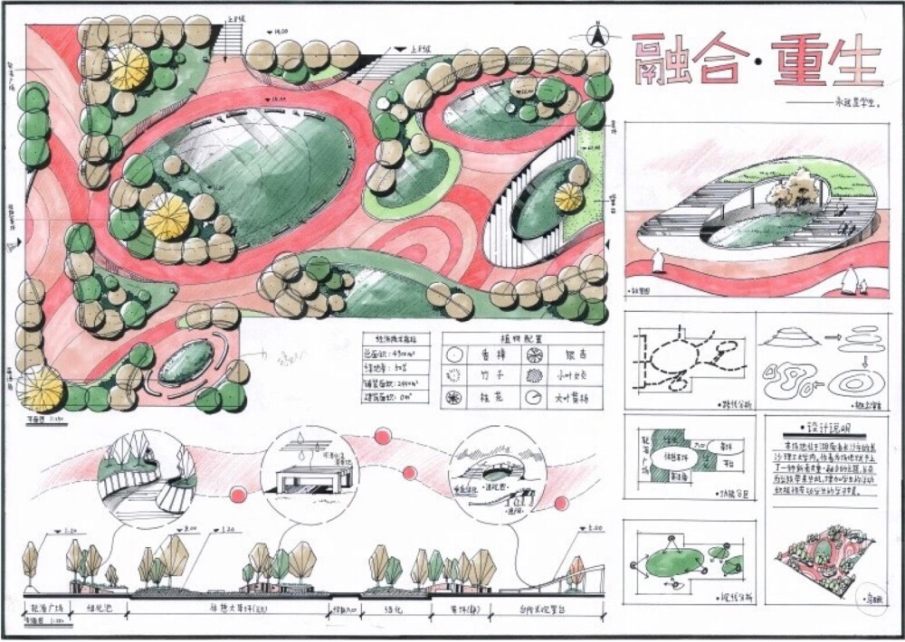 校园专题训练