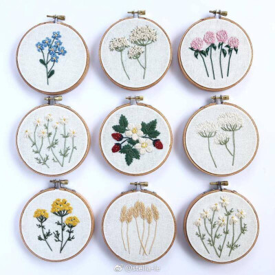 繁花似锦
ins：floralsandflossembroidery
#刺绣植物墙# ​​​