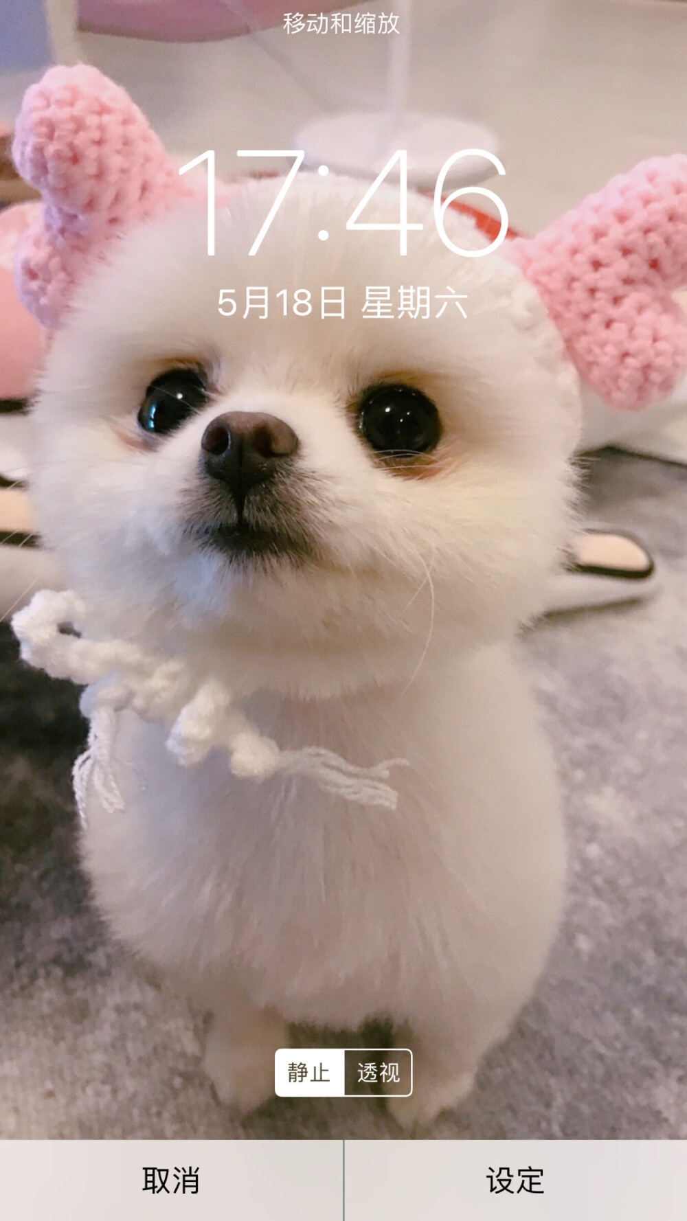 壁纸背景素材 by：朵莉✔️