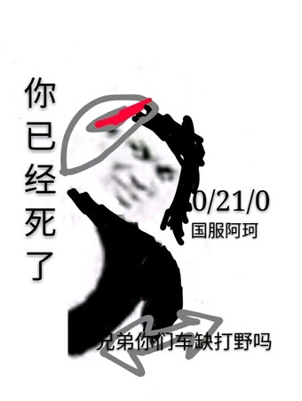 王者荣耀国服表情包