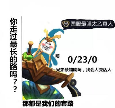 王者荣耀国服表情包