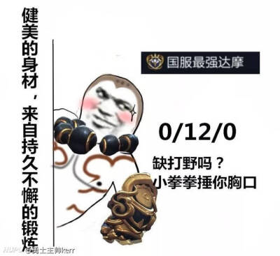 王者荣耀国服表情包