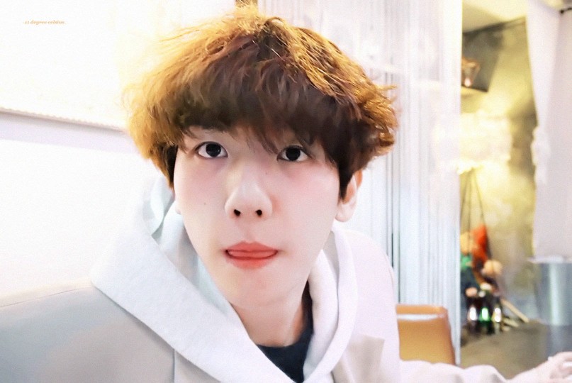 #伯贤# 伯贤的vlog