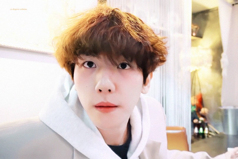 #伯贤# 伯贤的vlog