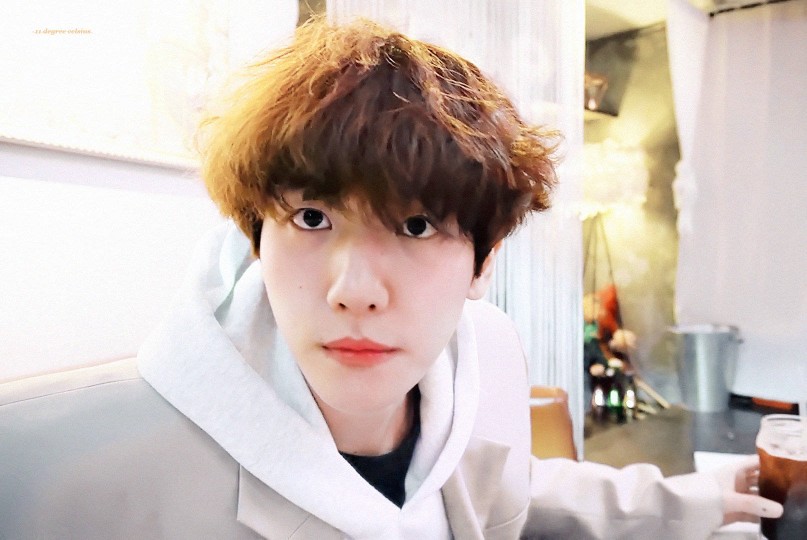 #伯贤# 伯贤的vlog