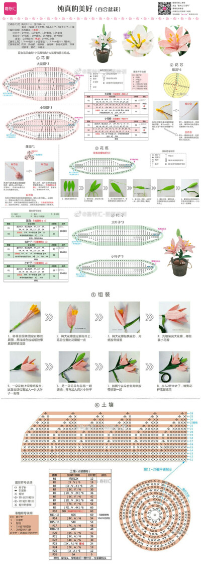 花 植物