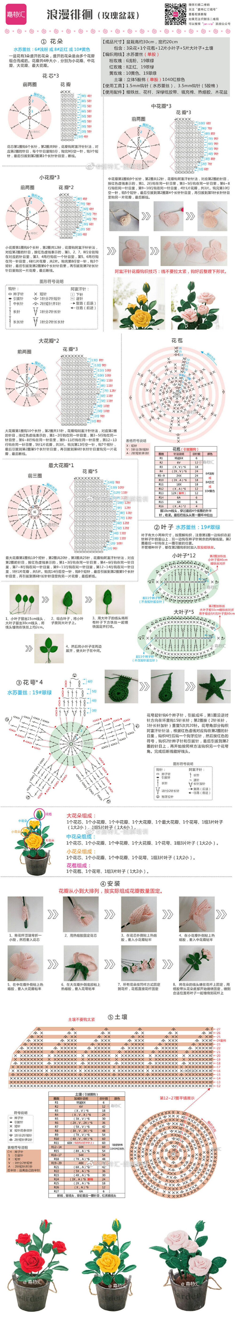 花 植物