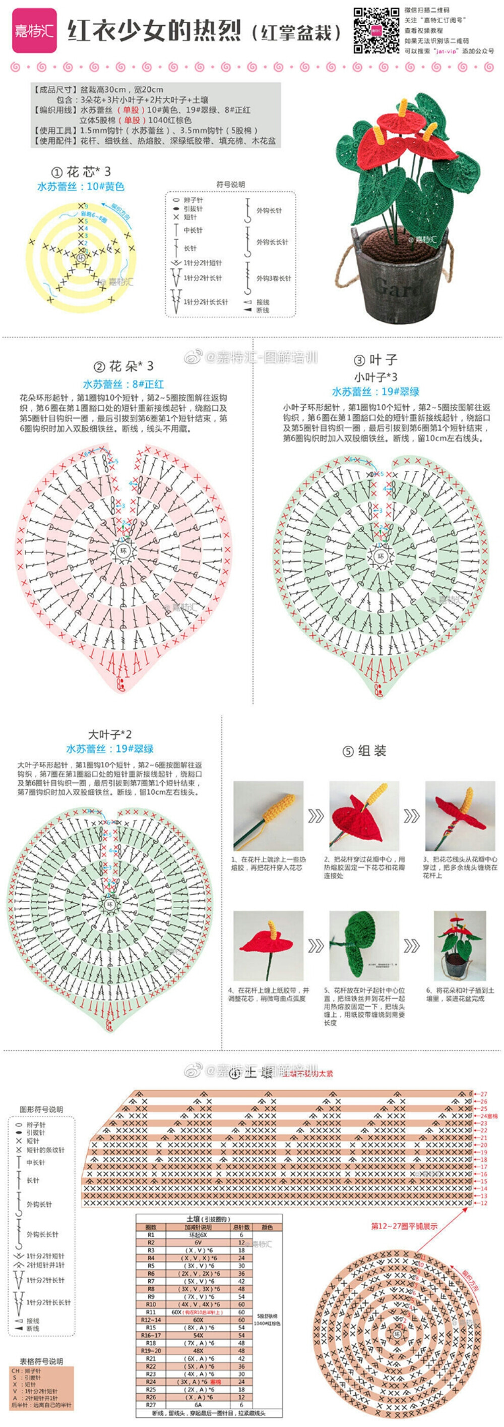 花 植物