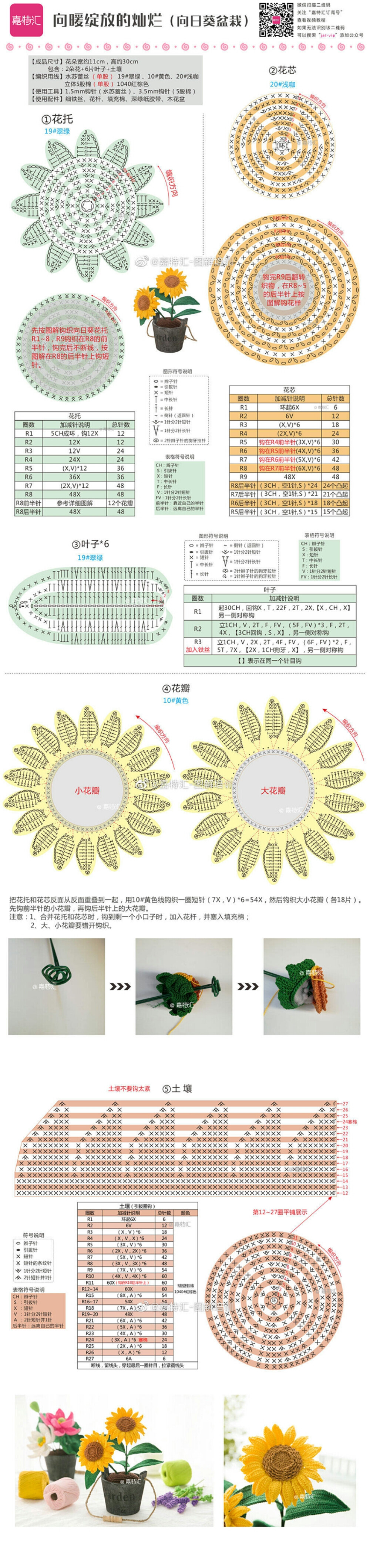 花 植物