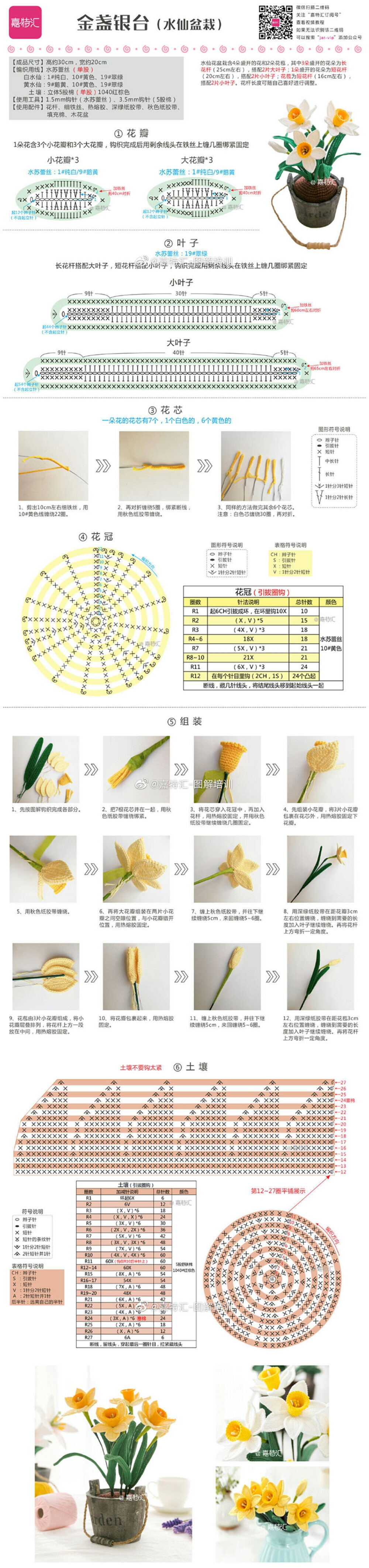 花 植物