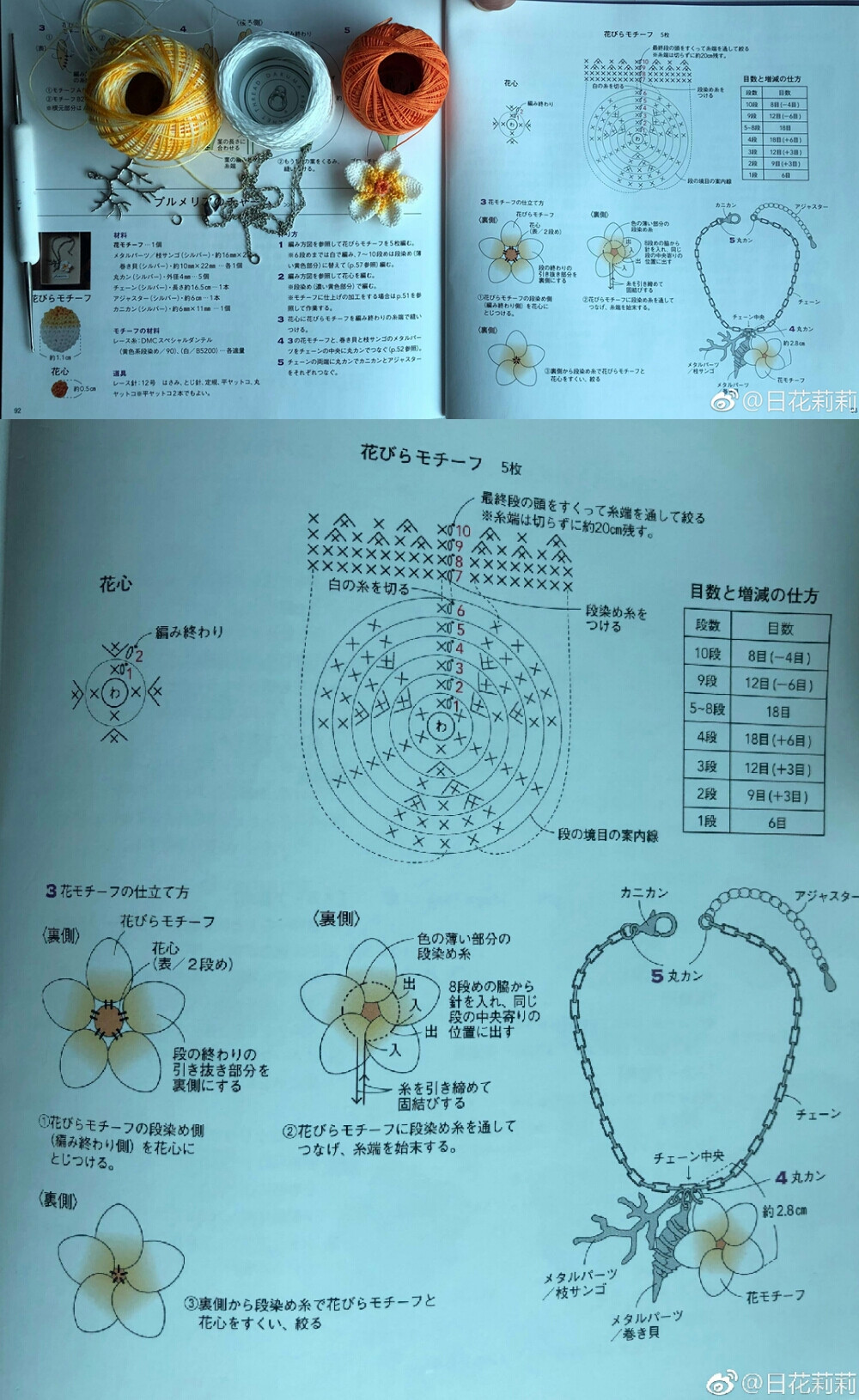 花 植物