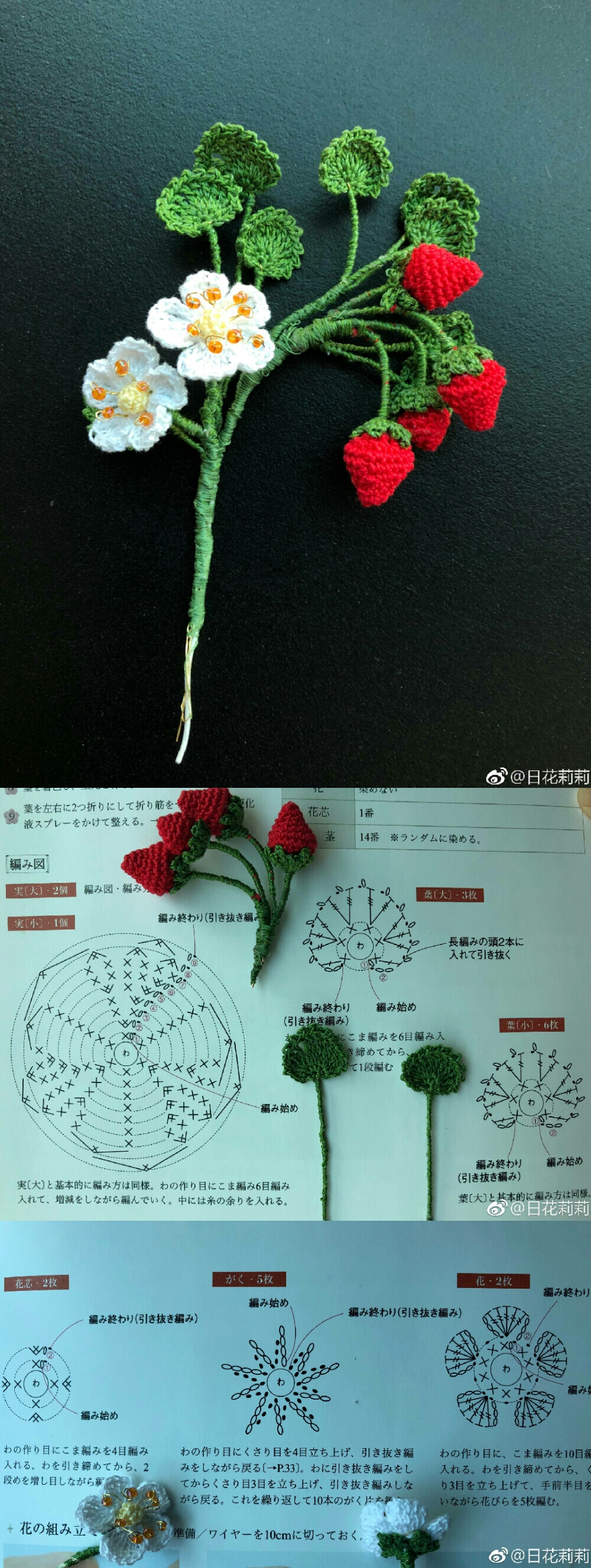 花 植物