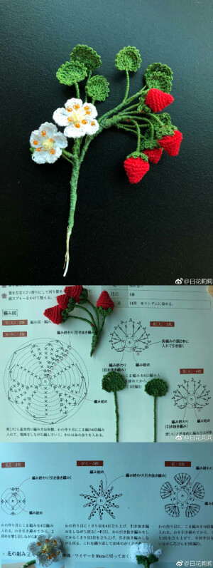 花 植物