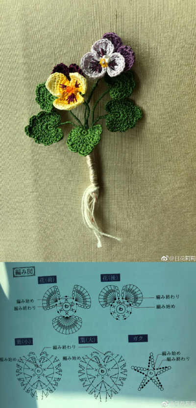 花 植物