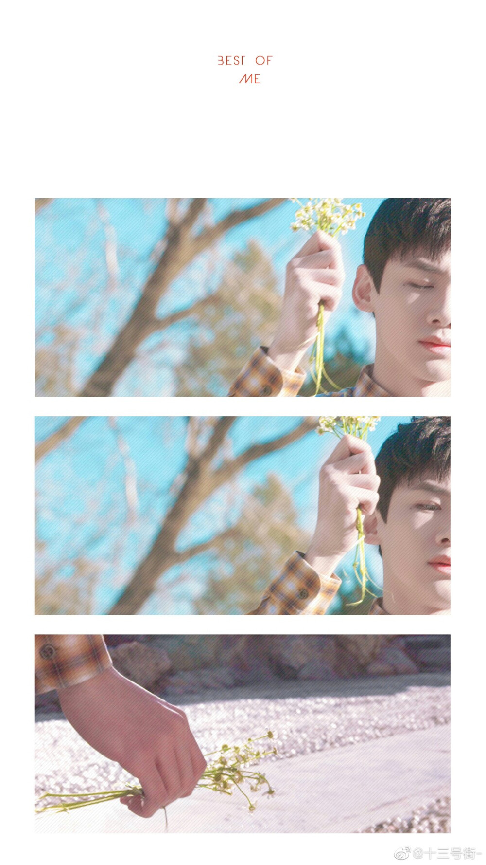 给某个小姐妹发的小白！