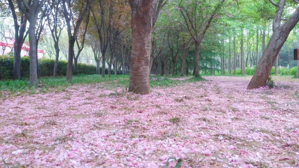 洛阳隋唐植物园