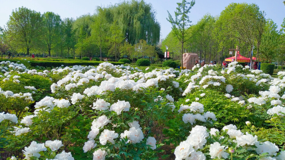 洛阳隋唐植物园