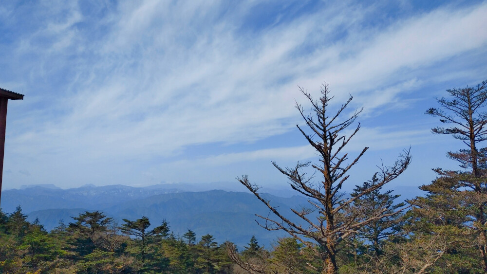 四川峨眉山乐山大佛