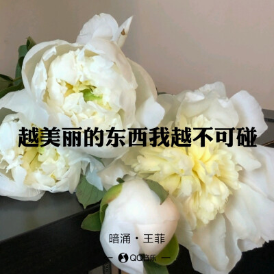 王菲