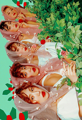 Red Velvet