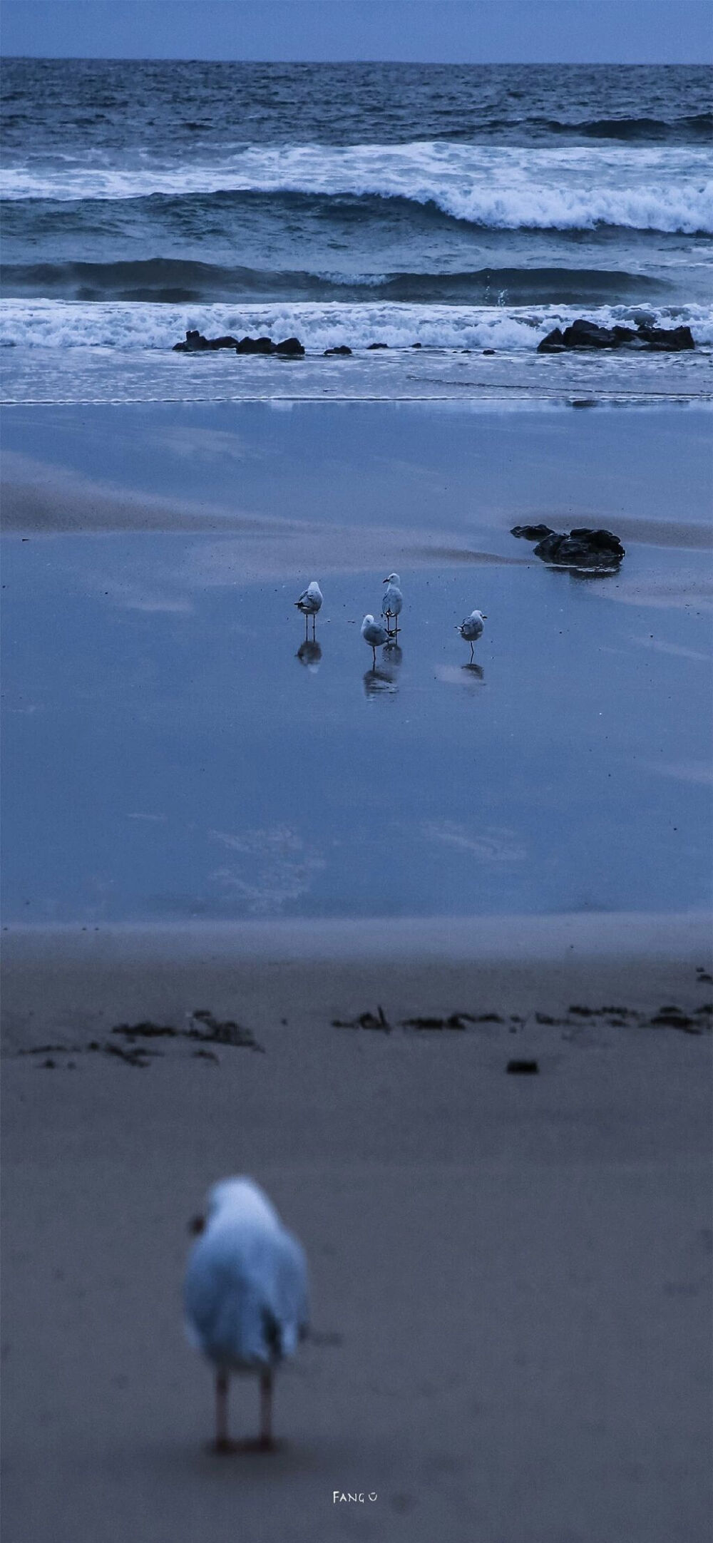 壁纸 蓝色系