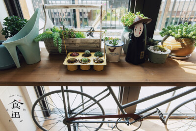 一家属于自己的小店