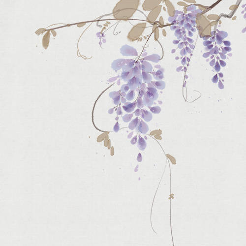古风插画 紫藤花 花卉 来自微博 不过灯花瘦 堆糖 美图壁纸兴趣社区