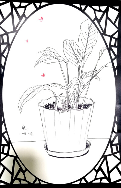 写生植物 简单图片