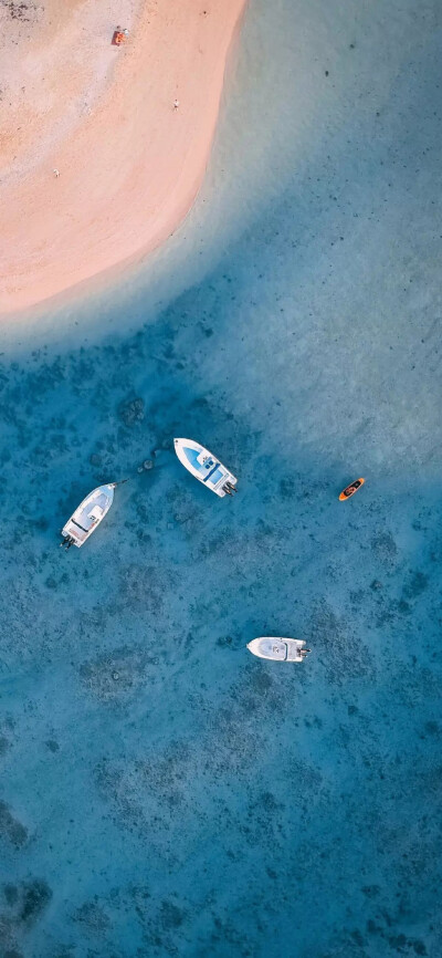 壁纸 海 风景
我任性也不是对所有人