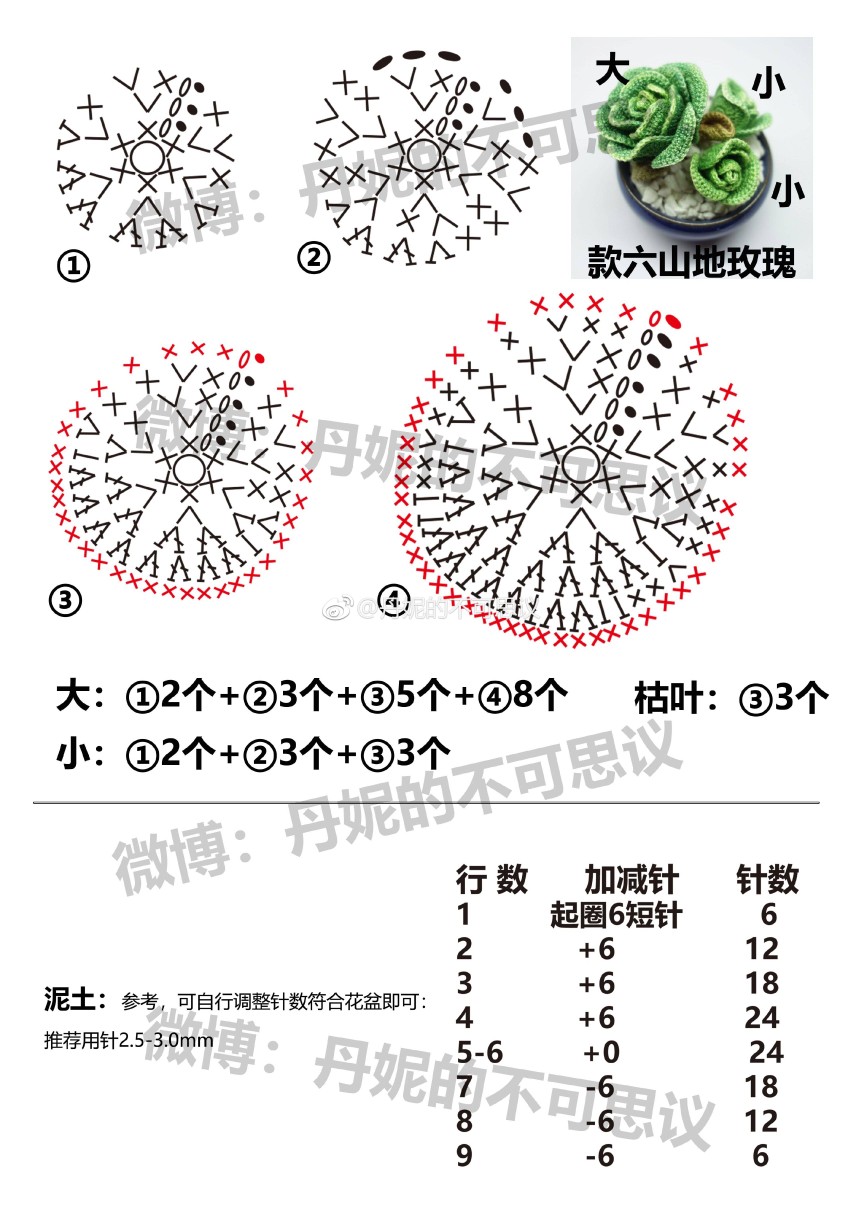 山地玫瑰2/2