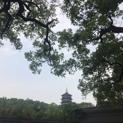 我的风景