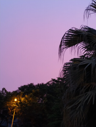 这炎热的夏天，还是有美丽的风景的