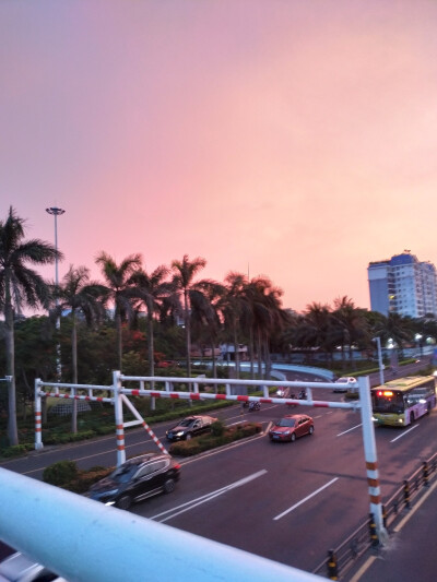 这炎热的夏天，还是有美丽的风景的