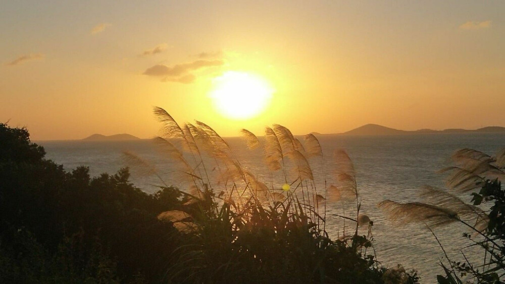 麋鹿保护区