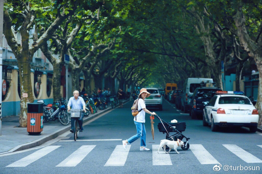 搭配灵感(图源网络 图源水印)