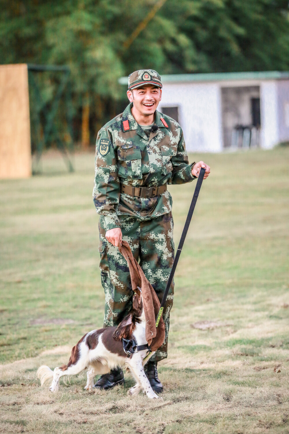 奇兵神犬杨烁图片