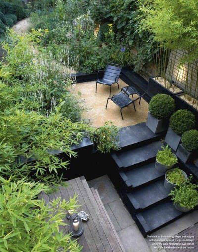 庭院
