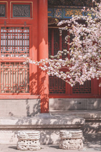 “春风融融，朱影重重，
一院胭脂色，难掩花事浓。”
故宫海棠竖版壁纸，第一波九张预告~
是春天的样子啊！
摄影@刘顺儿妞
#故宫花谱##故宫梦远# ​