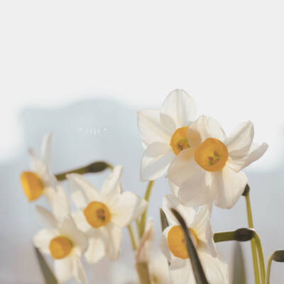 菜狗也喜欢画画
id哈欠里的小欢愉