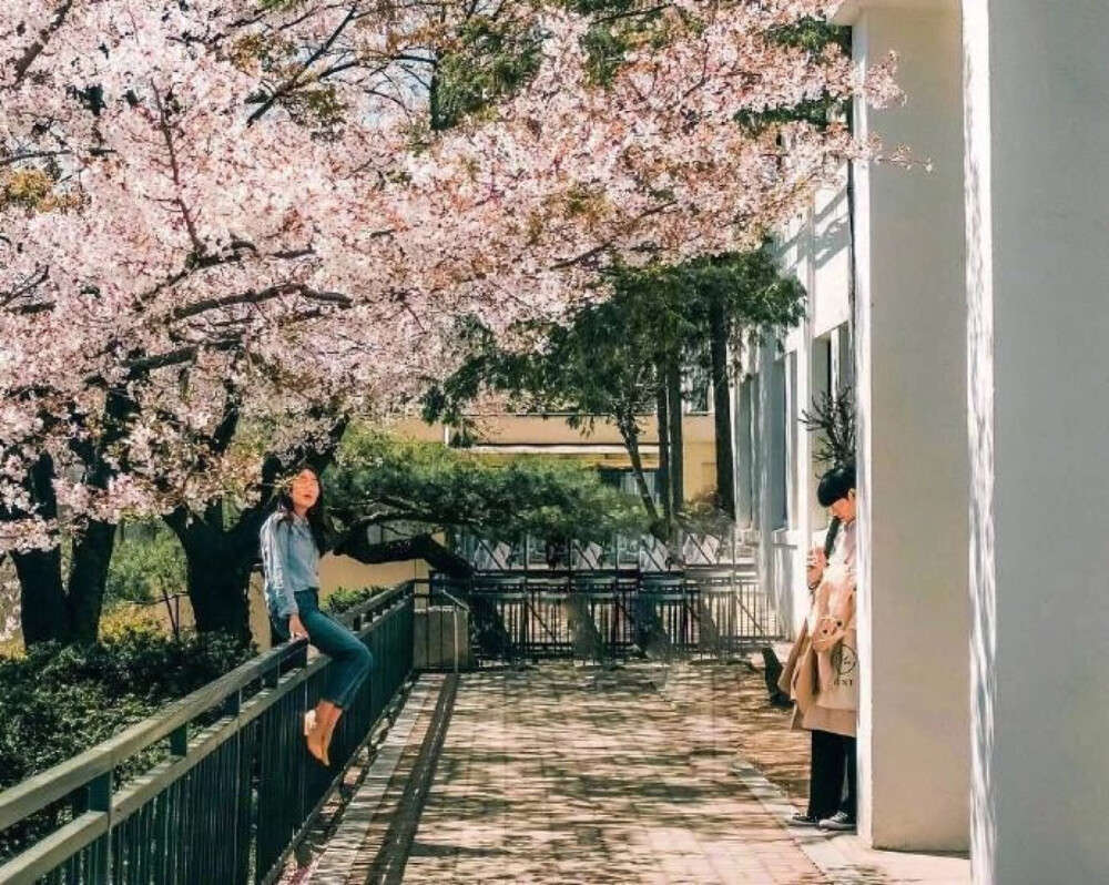 夏天来了 你也不许迟到噢
这里是馒头 喜欢和你分享这世间美好的事物